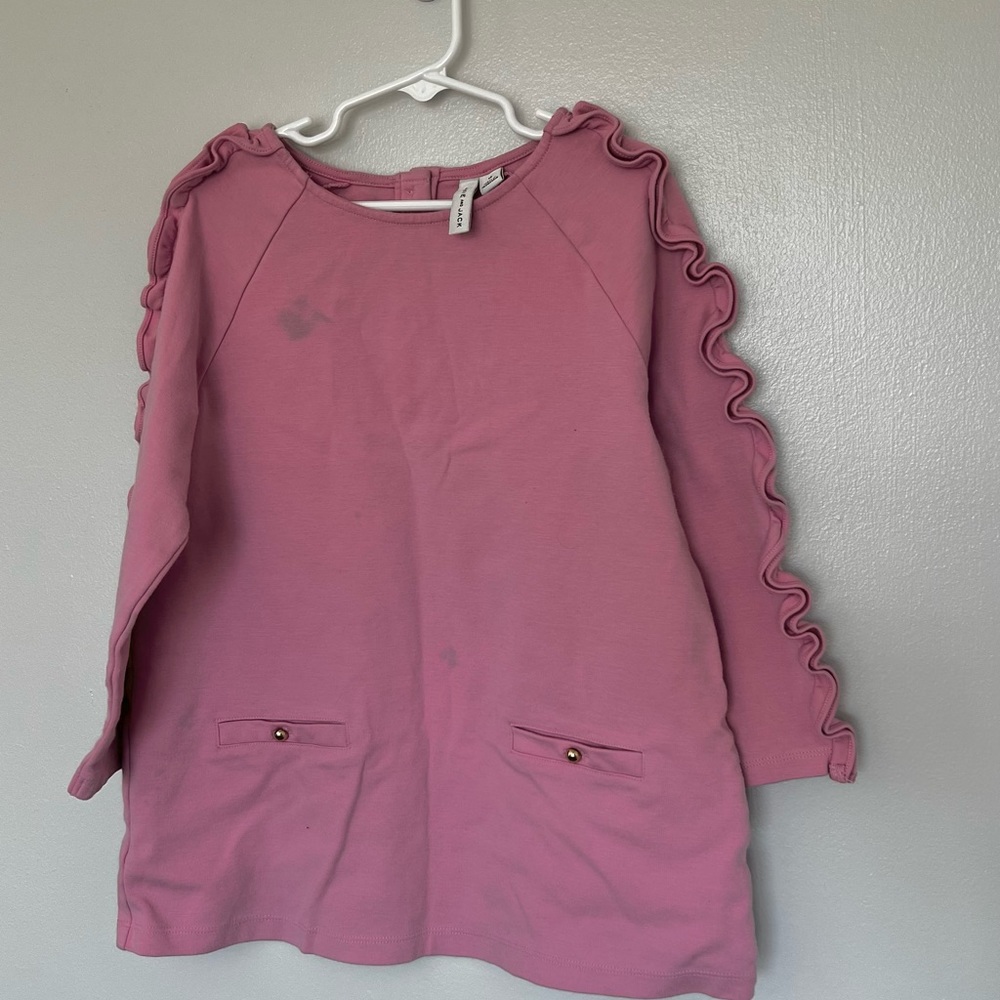 Girl’s Pink Janie and Jack Dress with Ruffled Sleeves